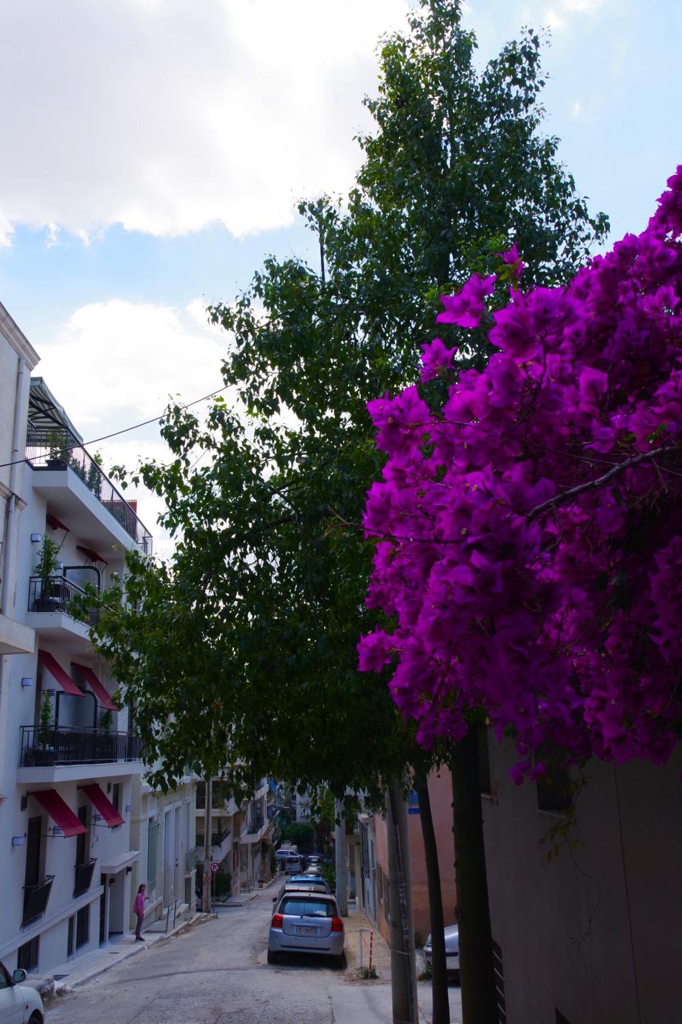 Absolute Acropolis View Αθήνα